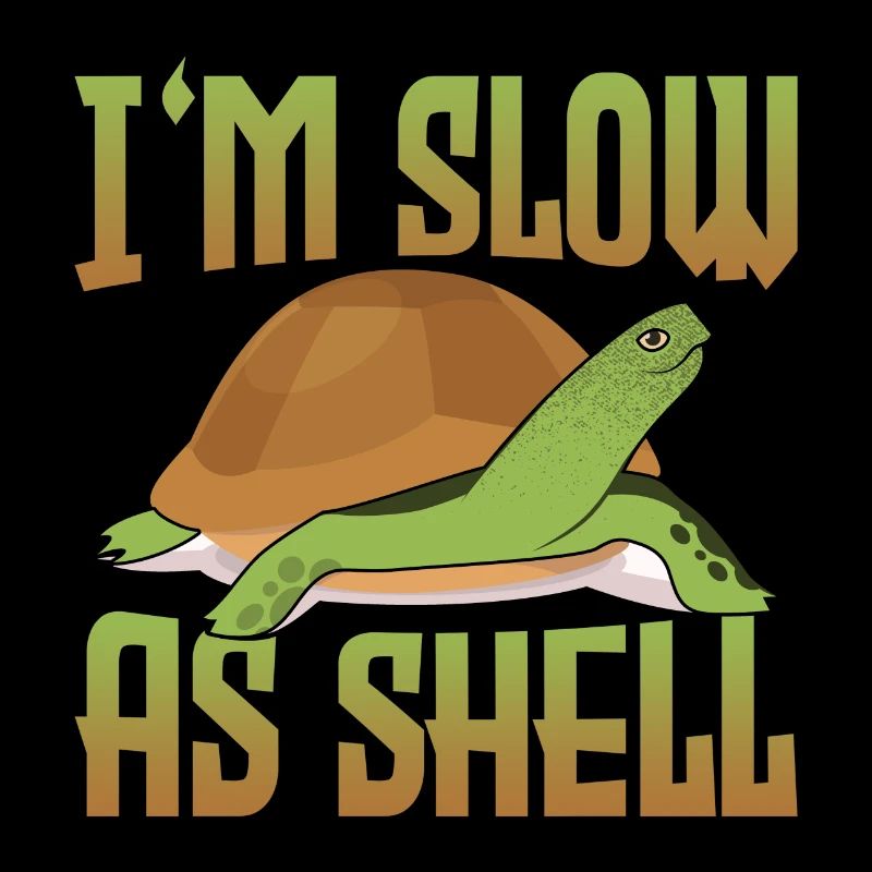Tortoise Tortoise