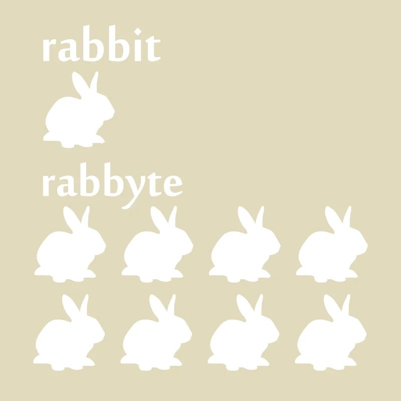 Programmer computer scientist byte rabbit gift