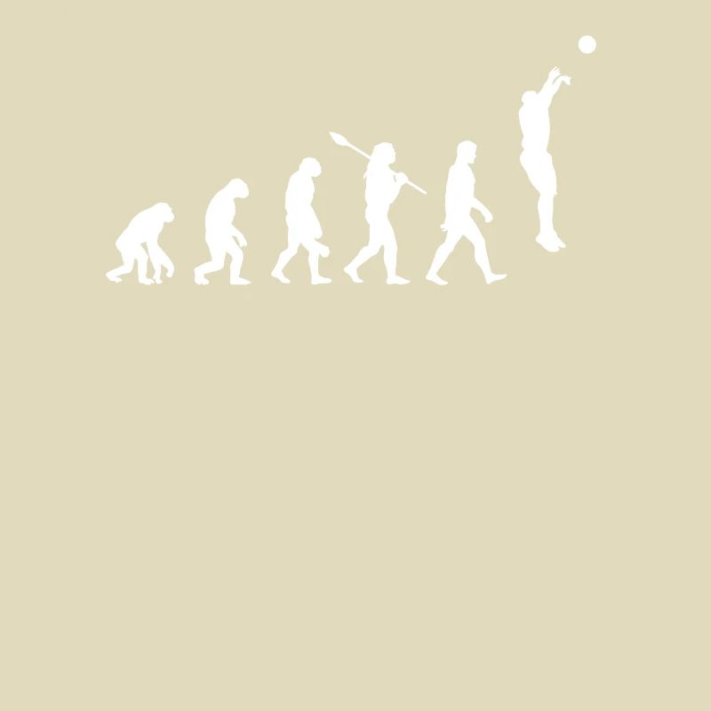 Evolution du basket