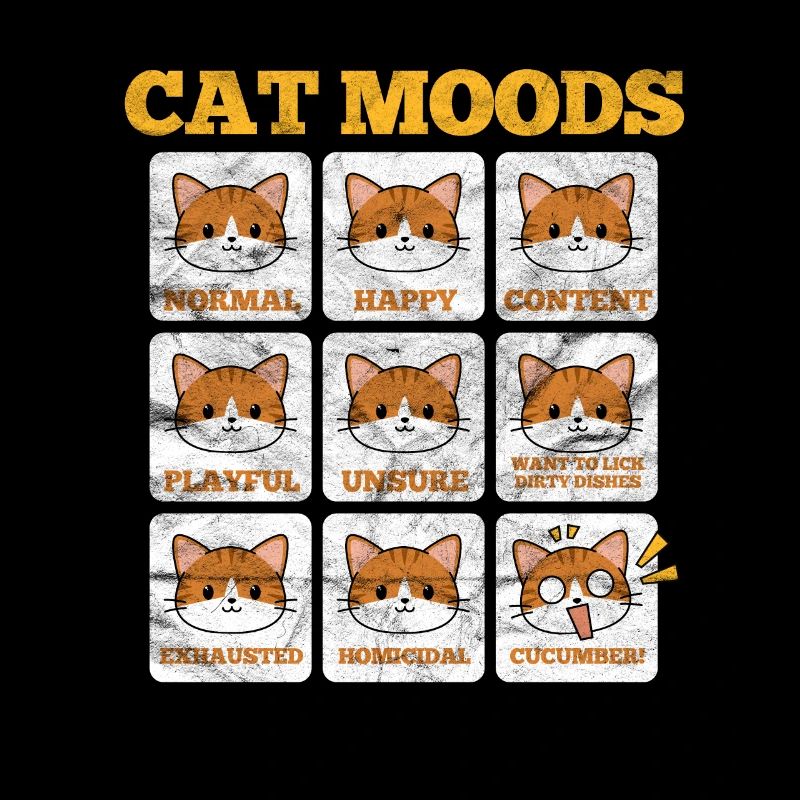 Chats Chat Chat Chat Amour de chat Cadeau