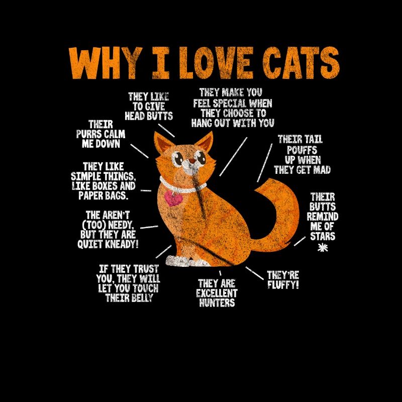 Chat chats gueule de bois chat chat amoureux cadeau