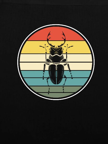 insect