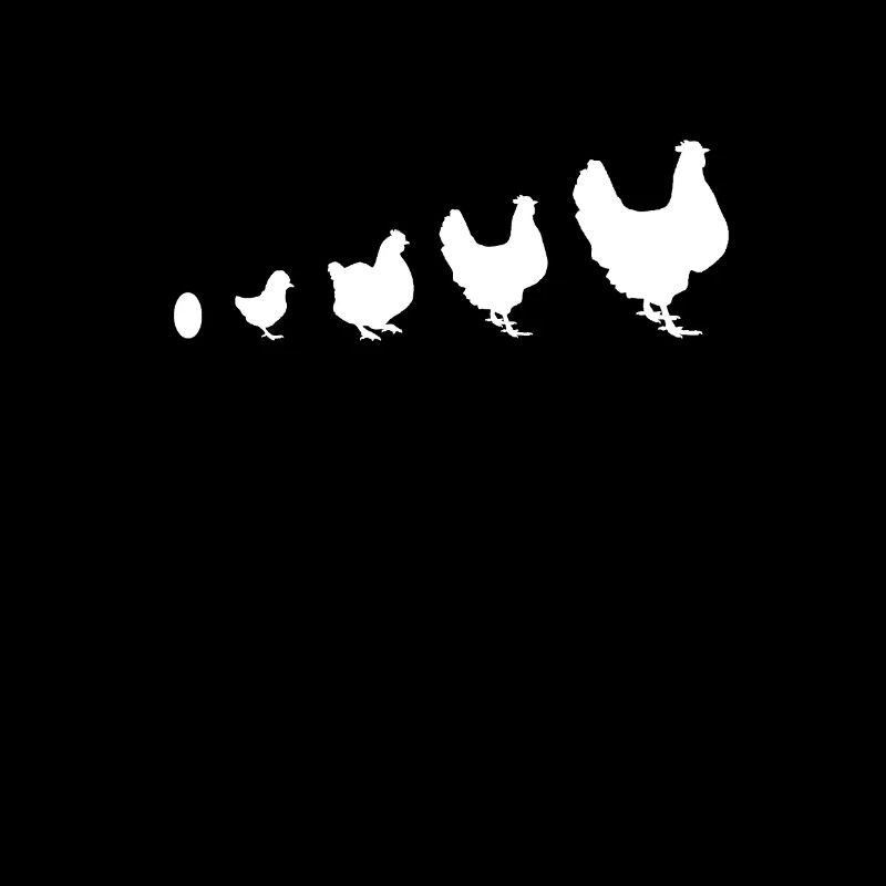 de l'œuf au poulet évolution poulets