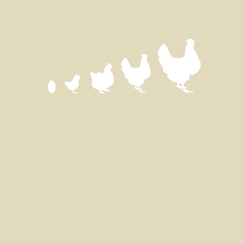 from egg to chicken evolution chickens