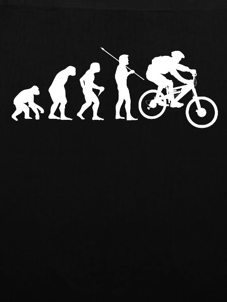 Downhill Fahrrad MTB Evolution