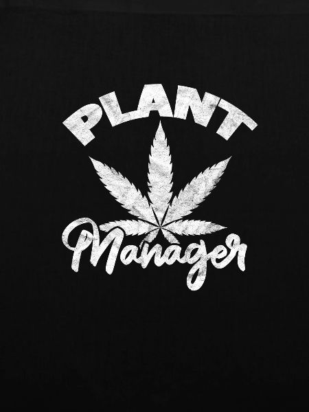 Cannabis