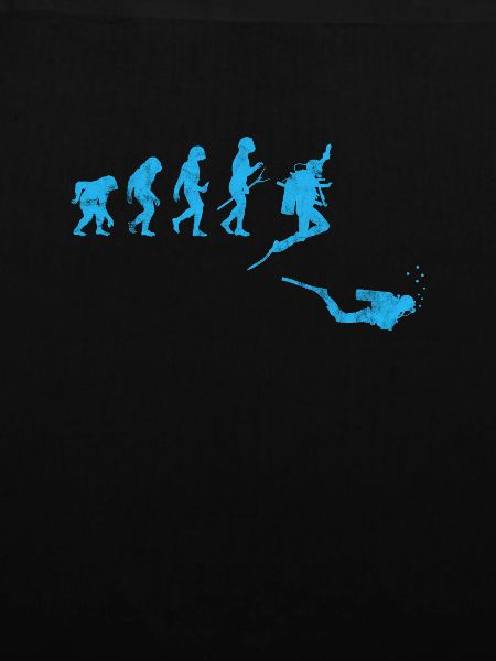 Taucher Evolution