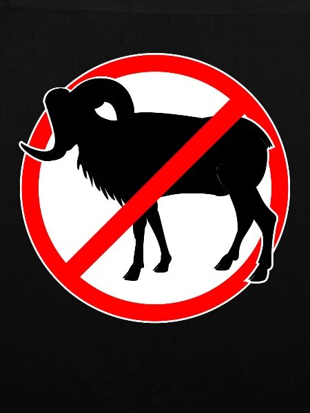 Ziegen oder Mufflons verboten - Ziege