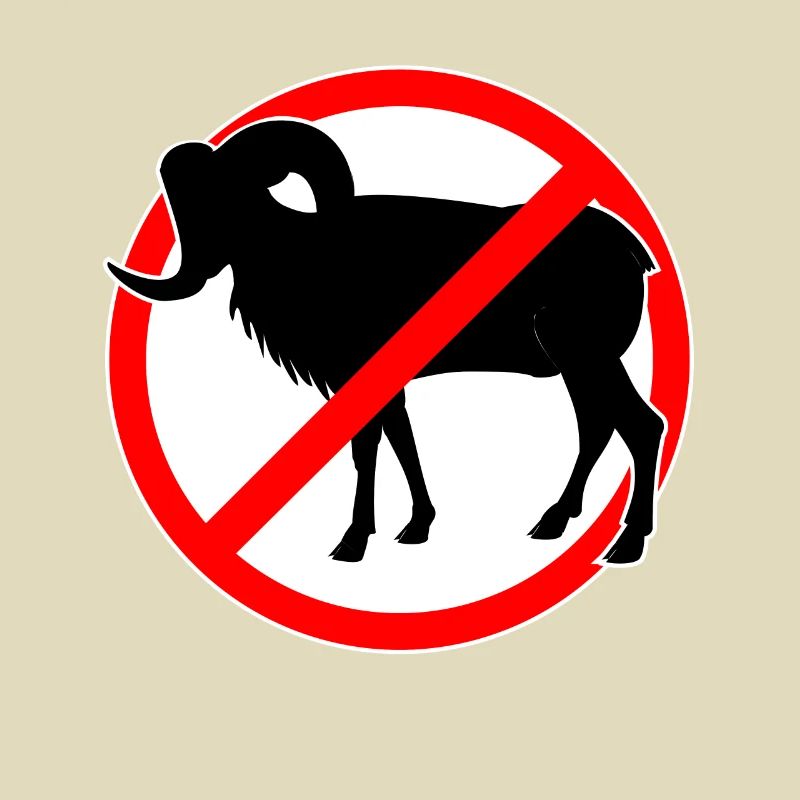 Chèvres ou mouflons interdits - chèvre