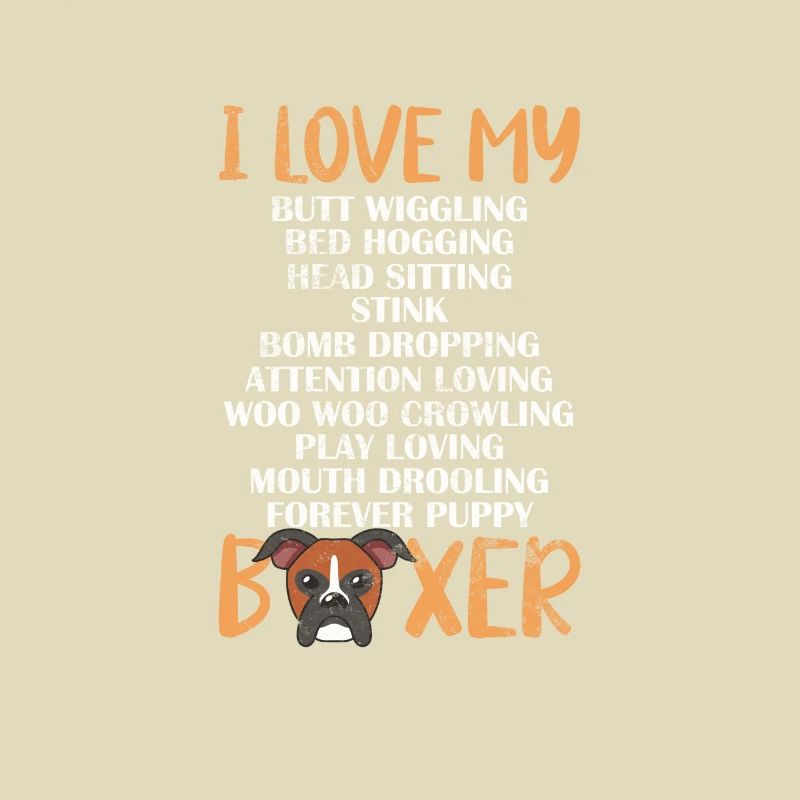Boxer Hund