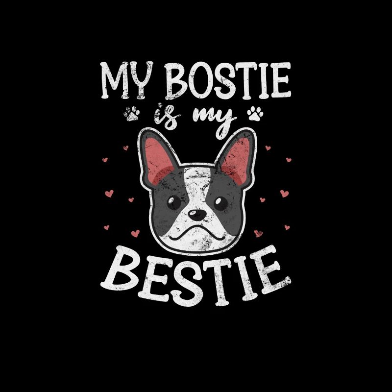 Boston Terrier