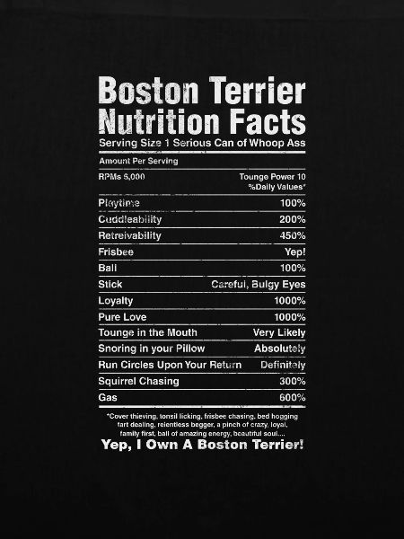 Boston Terrier