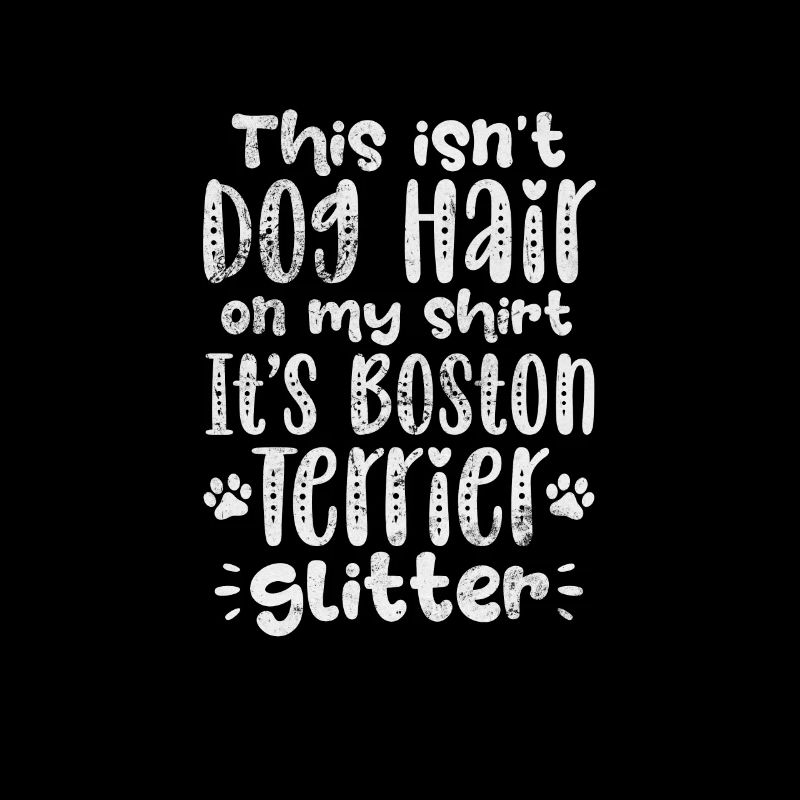 Boston Terrier