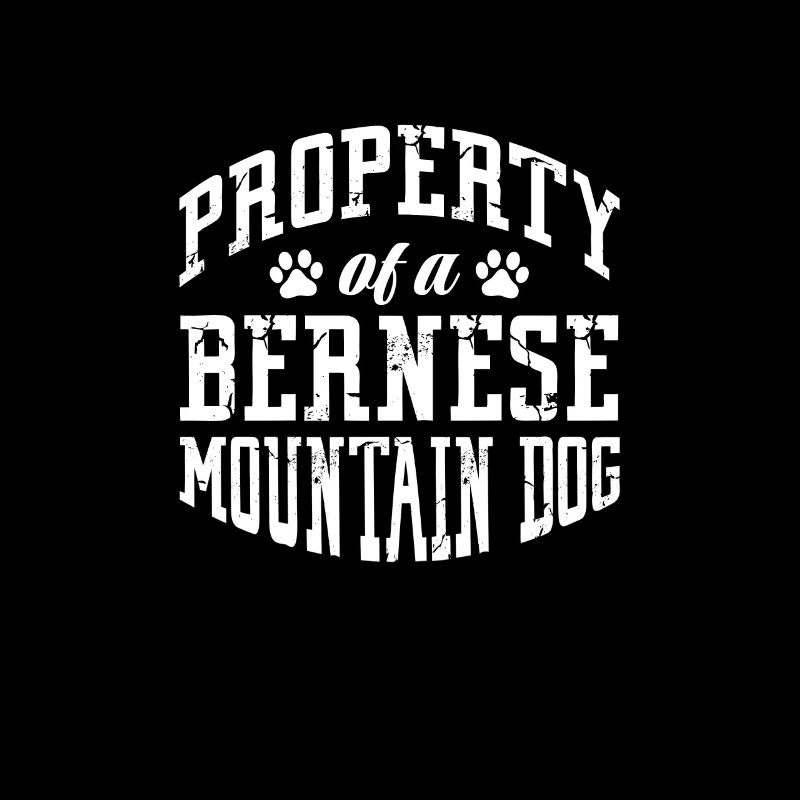 Bouvier bernois
