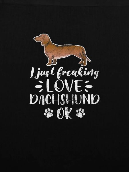 Dachshund