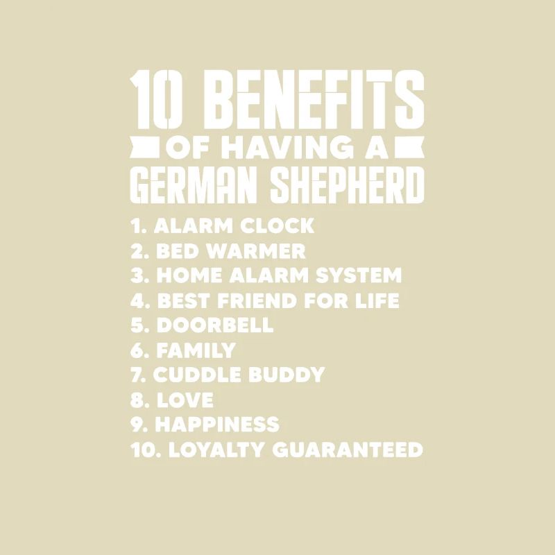 Deutscher Schäferhund