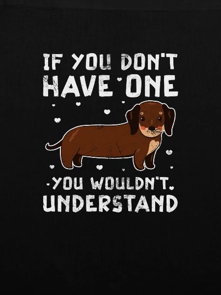 Dachshund