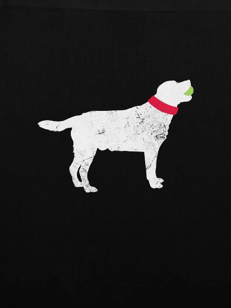 Labrador