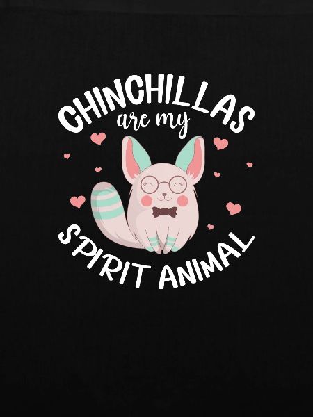 Chinchilla