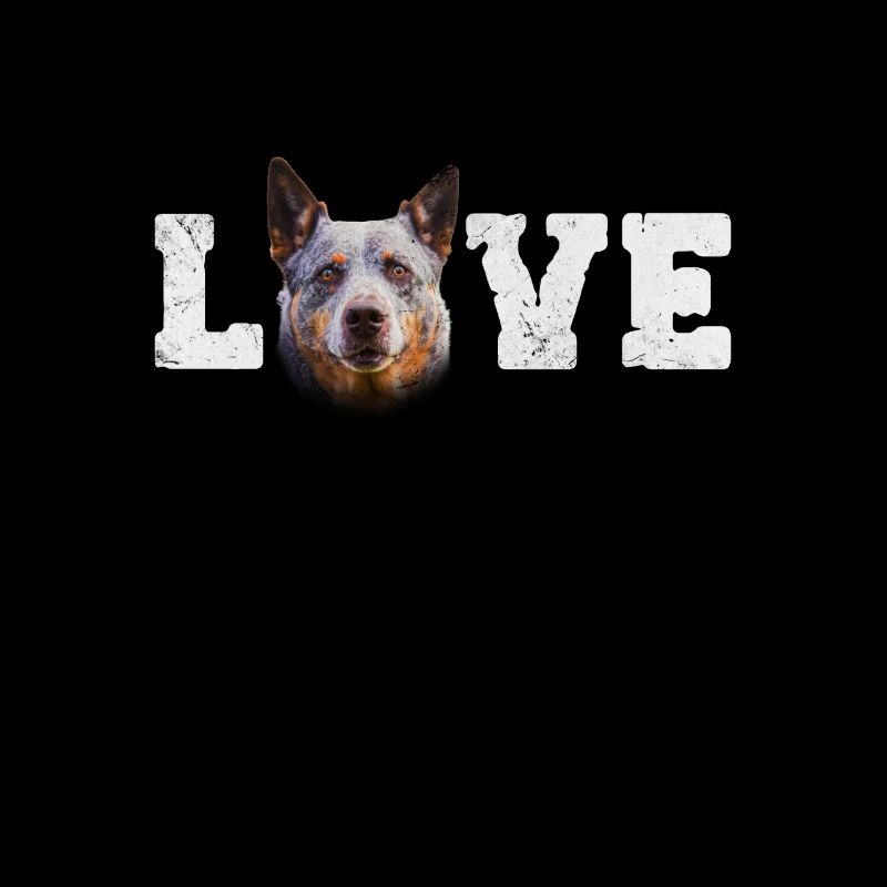 Australian Cattle Dog