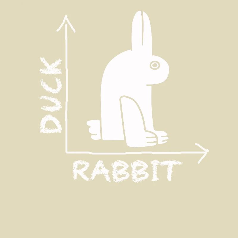 Wittgensteins Rabbit Duck Illusion