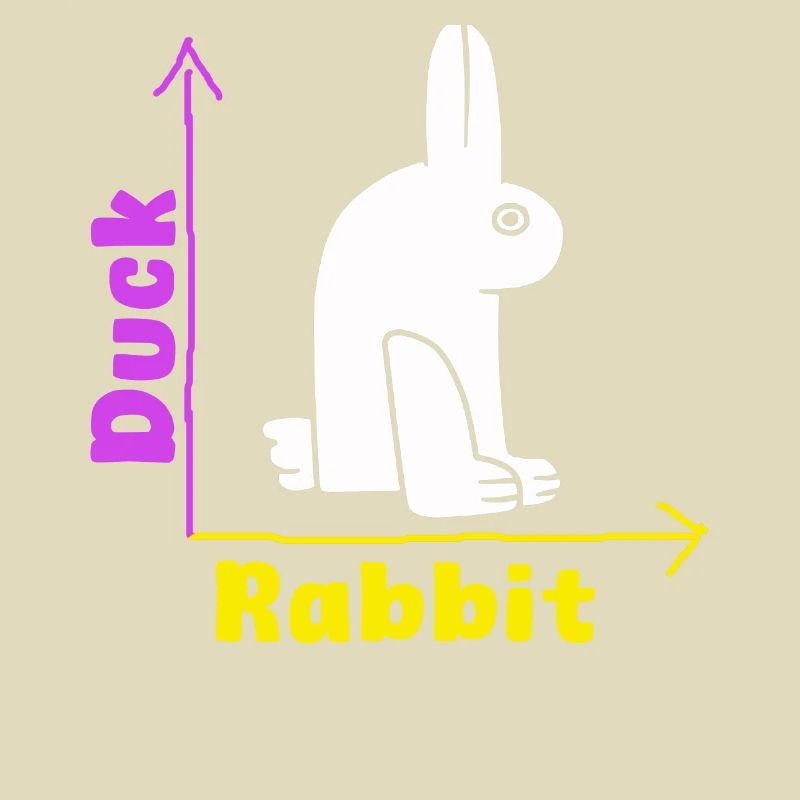 Wittgenstein lapin canard illusion