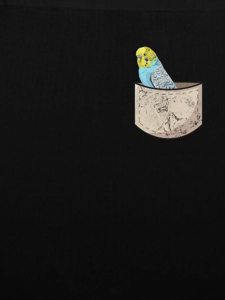 Budgerigar