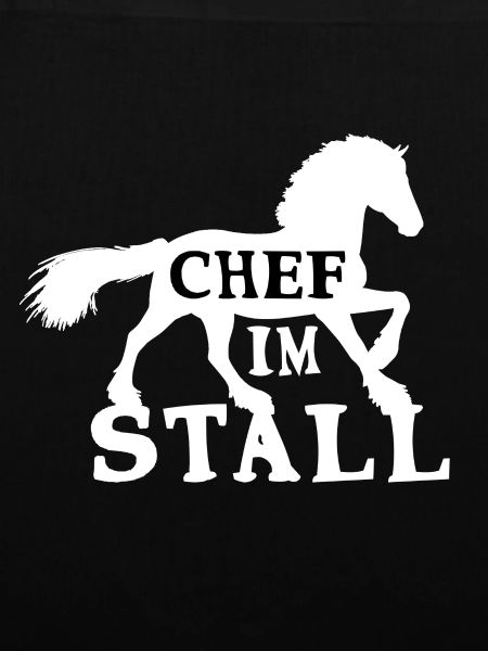 Chef im Stall Pferd
