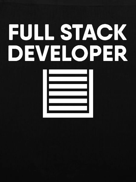 Full Stack Developer