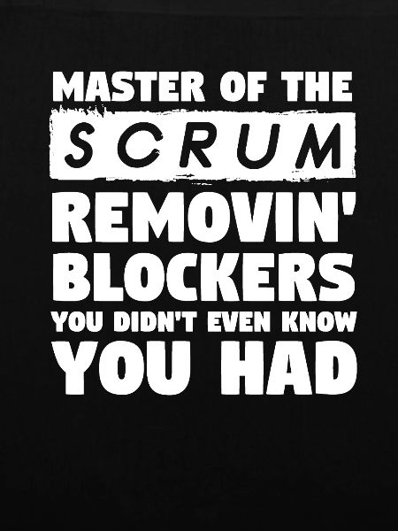 Scrum Master Removing Blockers