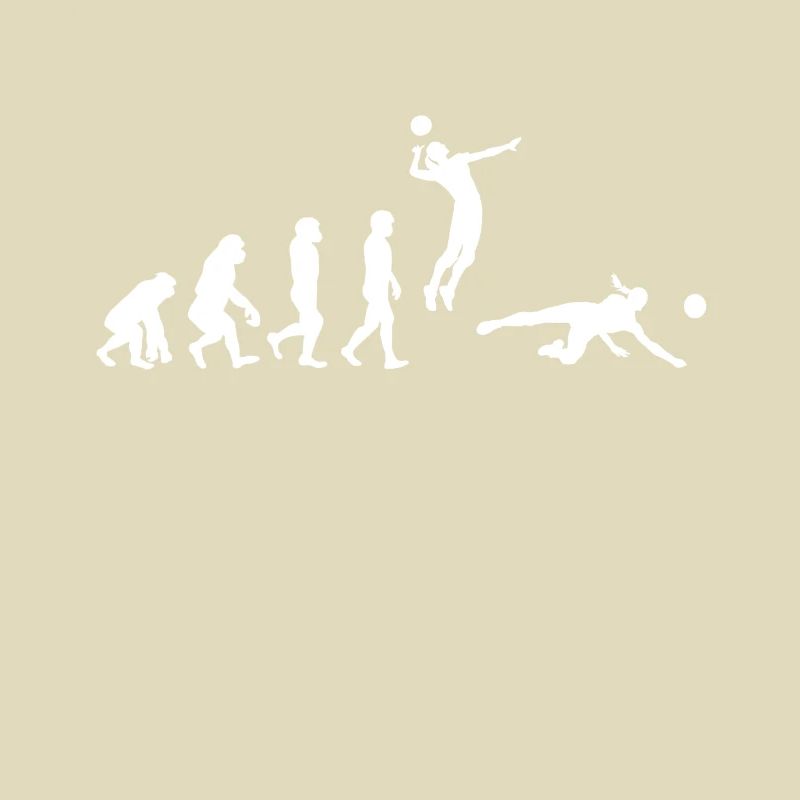 Volleyball Evolution