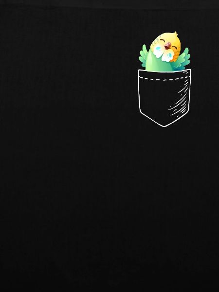 Parakeet