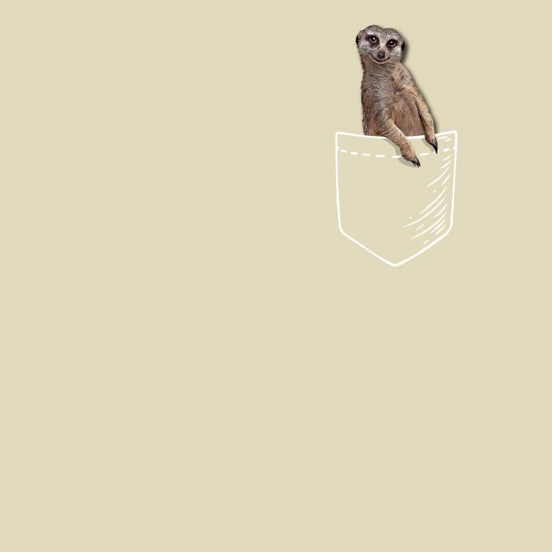 Suricate