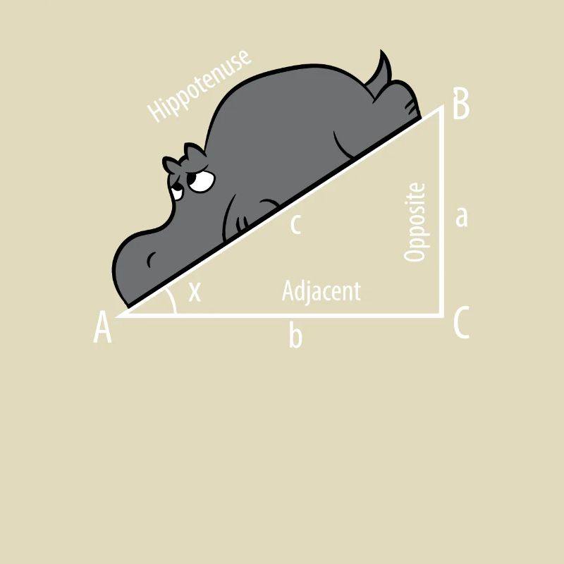 Mathe Pythagoras Hypothenuse Nilpferd Hippo
