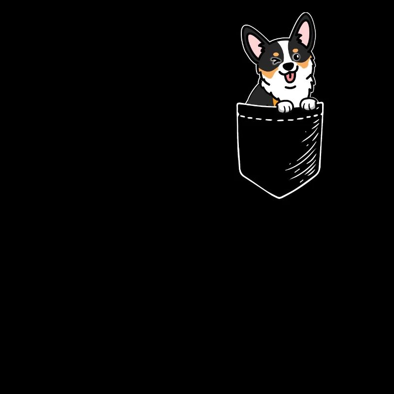 Black Tricolor Corgi