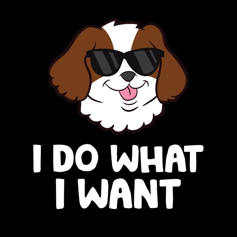 Ich mache was ich will Cavalier King Charles