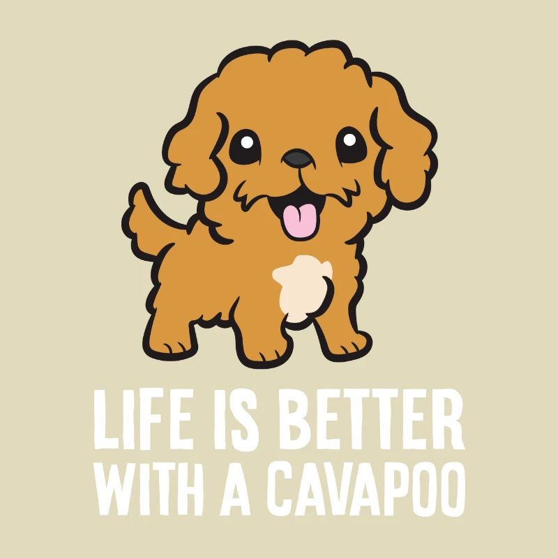 Cavapoo Haustier Hund Das Leben ist besser mit