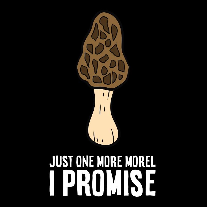 Cueilleur de morilles Un seul champignon de la morille,