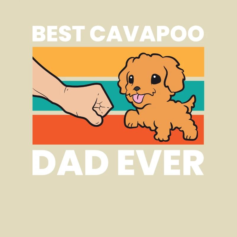 Cavapoo Hund Papa Cavoodle Bester Cavapoo Papa