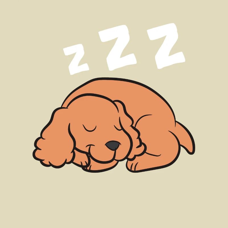 Cocker Spaniel Hund Schlafen Pyjama Cocker