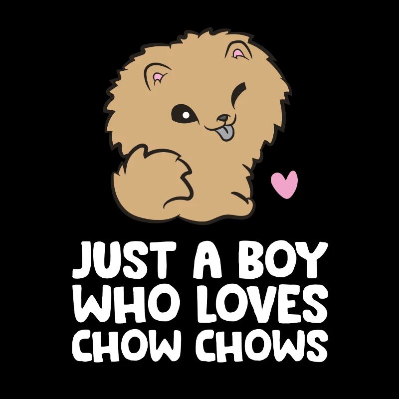 Juste un garçon qui aime Chow Chows