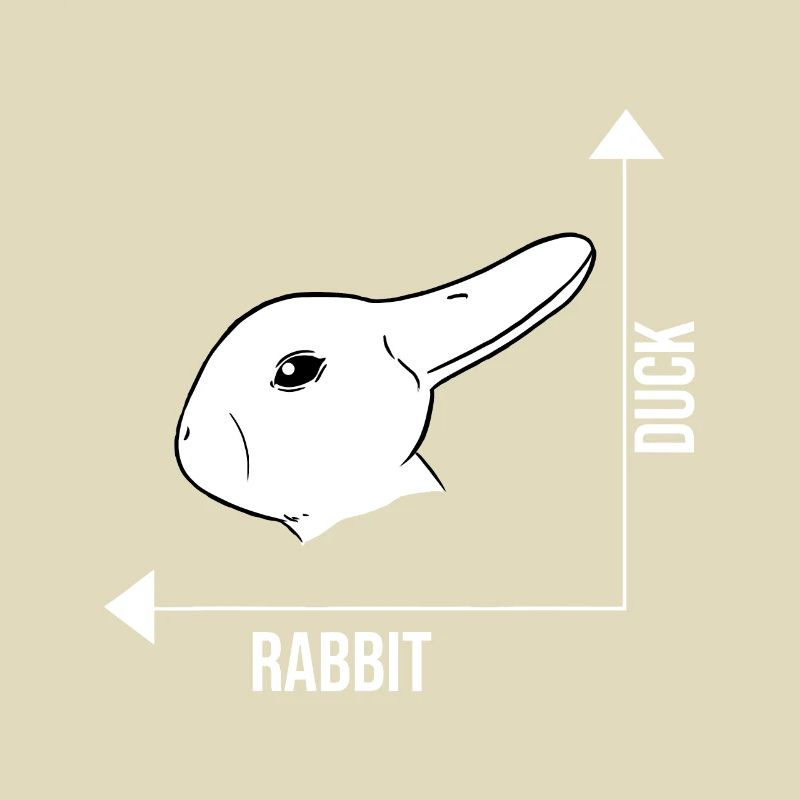 Rabbit Duck Graph Math Pâques