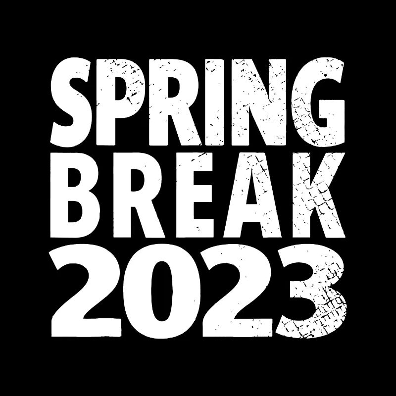 Matching Group Spring Break 2023 Vintage Tie Dyevi