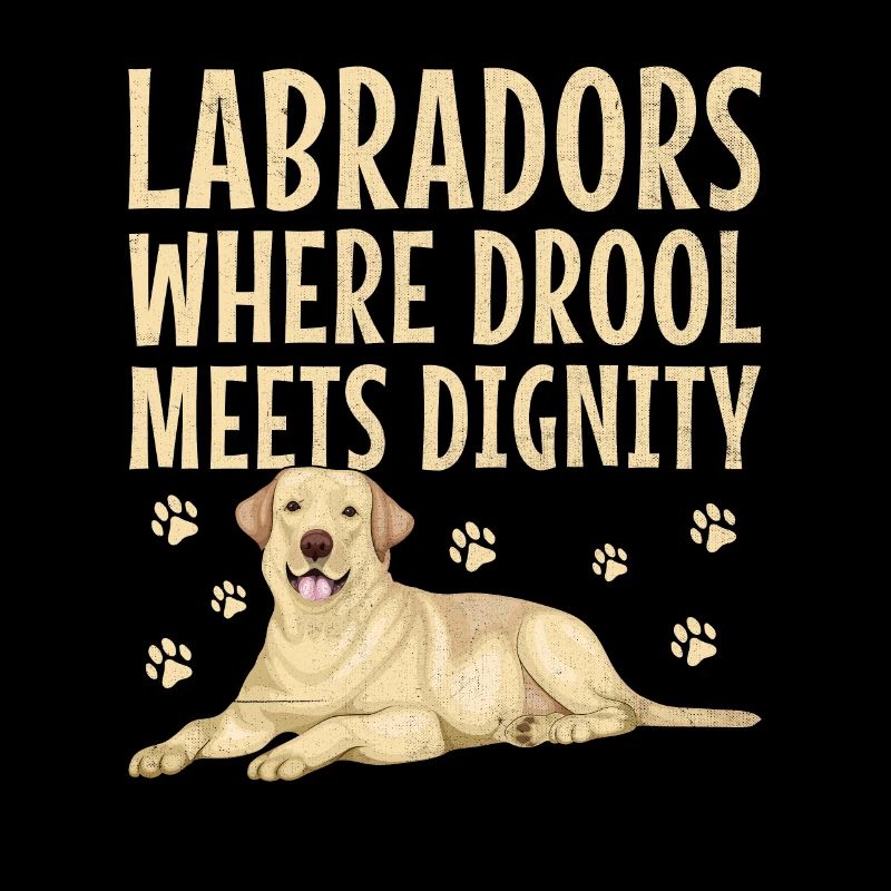Labradors Where Drool Meets Dignity Labrador Retri