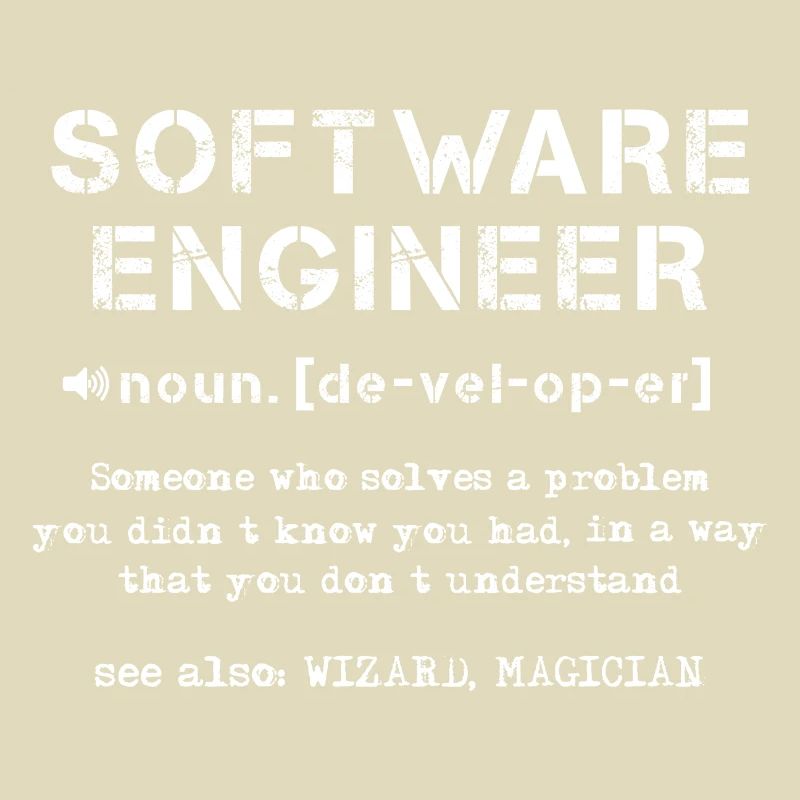 Software-Ingenieur Definition