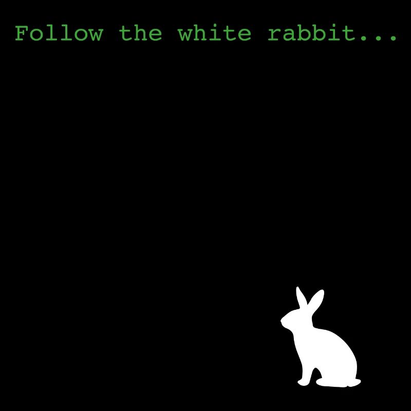 Suivez le lapin