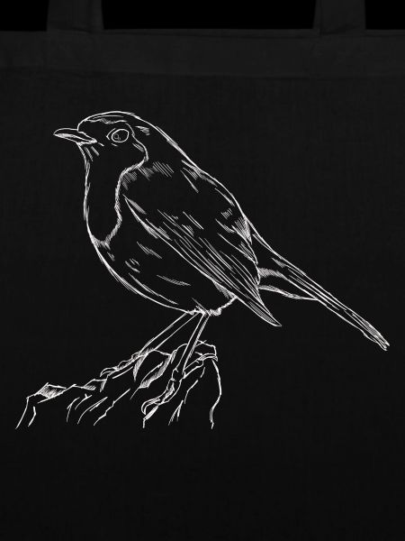 Das Rotkehlchen Singvogel Naturschutz