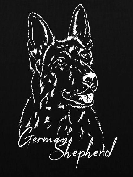 deutscher Schäferhund Portrait