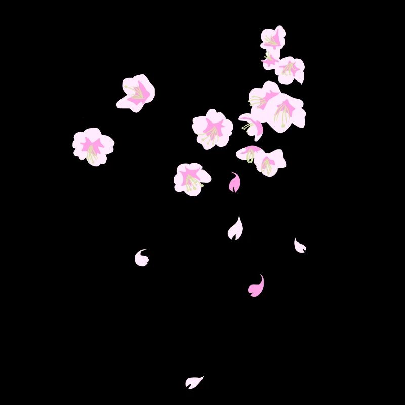 Fleurs de cerisier (Sakura)