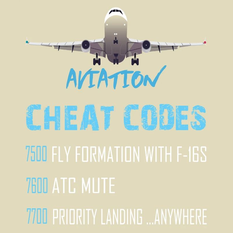 Aviation cheat codes